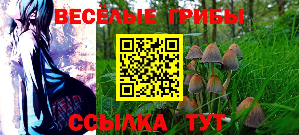 Псилоцибиновые грибы MAGIC MUSHROOMS Южно-Сахалинск