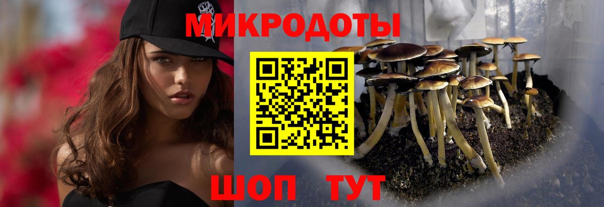 Псилоцибиновые грибы мухоморы  Вход с VPN  даркнет сайт  Южно-Сахалинск 